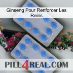 Ginseng For Reinforcing Kidney 20